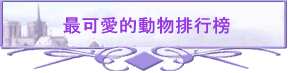 ̥iRʪƦ]